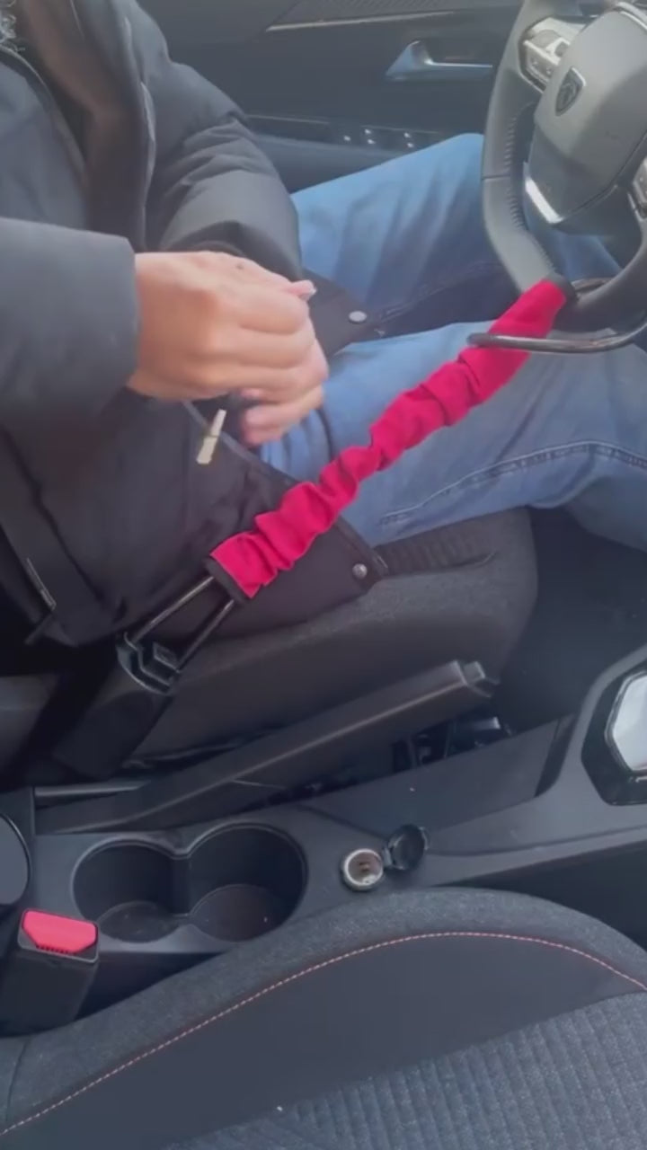 Charger la vidéo : 